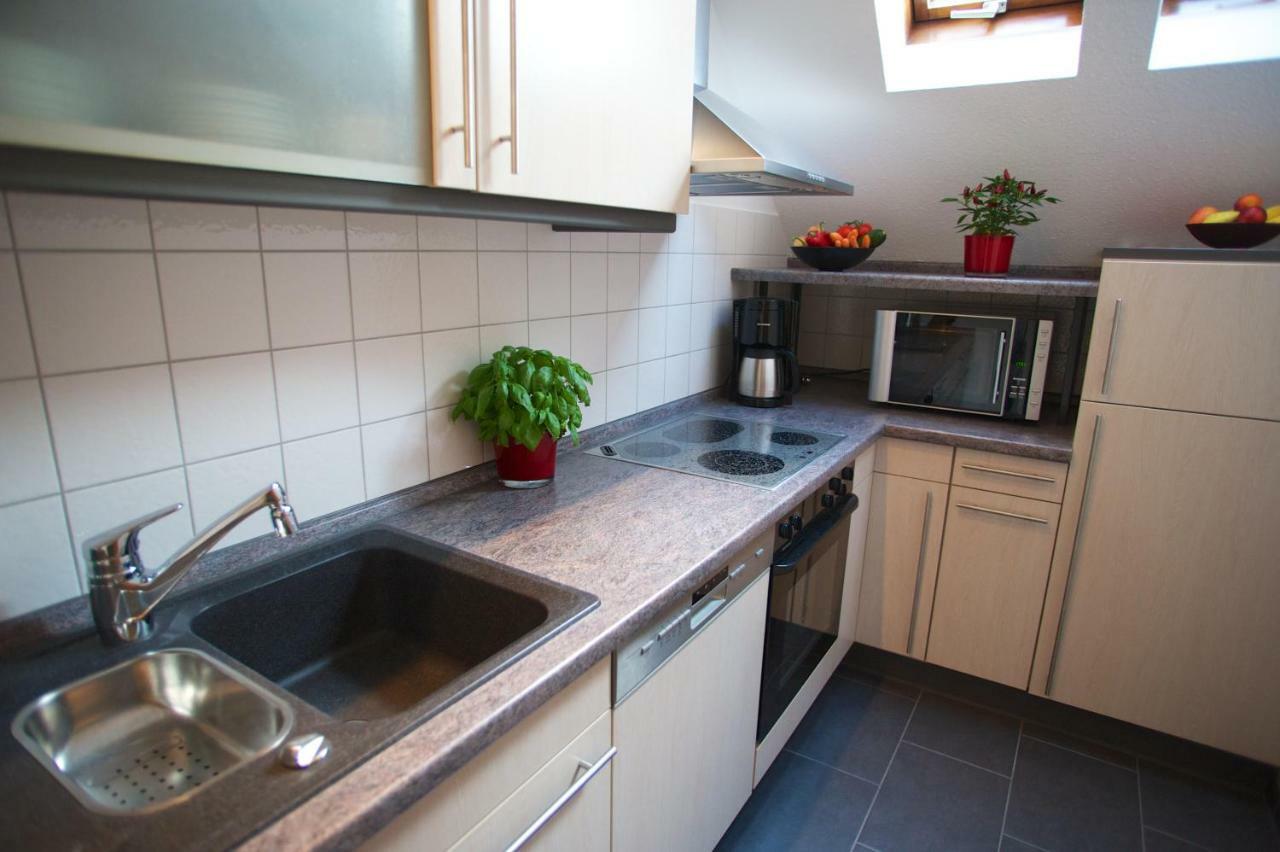 Neumann Apartment Marbach am Neckar